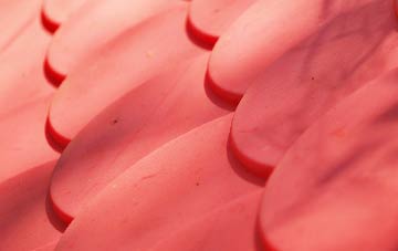 Bishopstone plastic roof costs