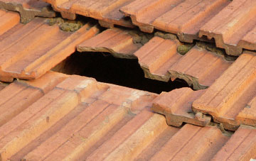 roof repair Bishopstone